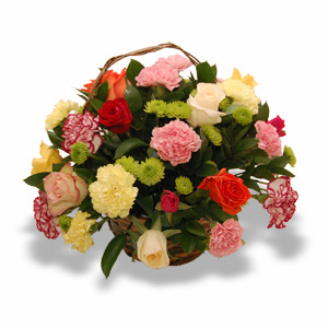 send Basket of mixed carnations to belgaum