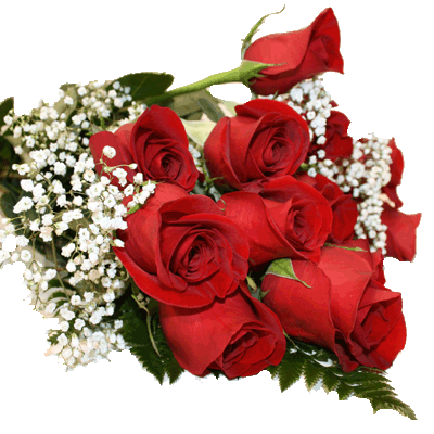 send Bunch of 12 roses to mysore