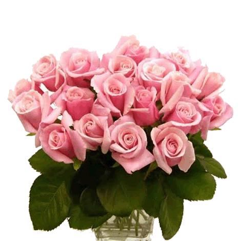 Bunch of 24 Pink Roses bouquet