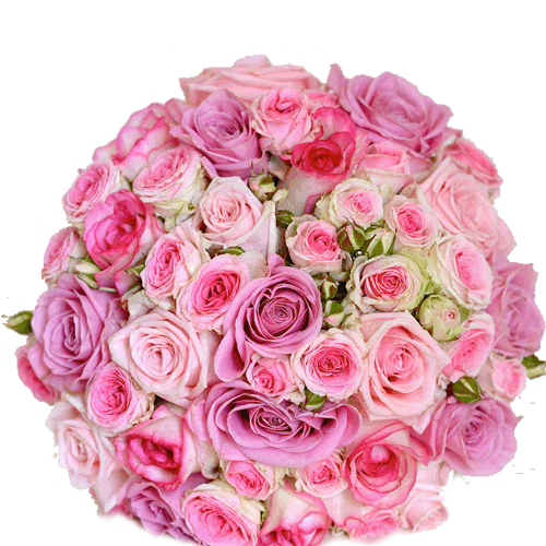 Send roses to belgaum online red roses delivery to belgaum.