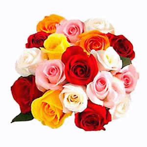 send bunch of 25 roses mixed to haliyal