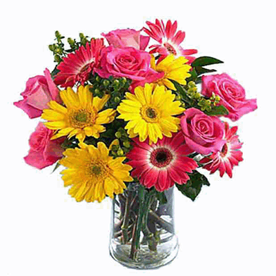 12 Different Colors Gerberas in A Vase to bangalore